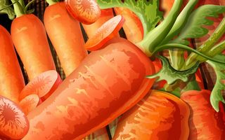 炫彩餐饮 美食诱惑 手绘画_19