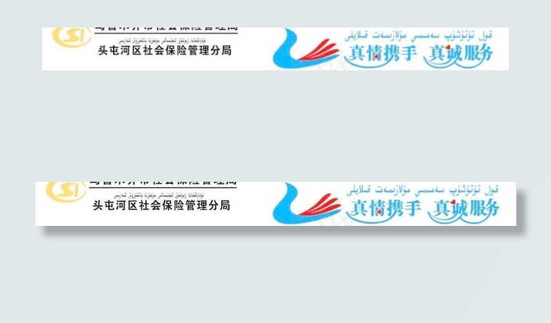 社会保险管理局图片