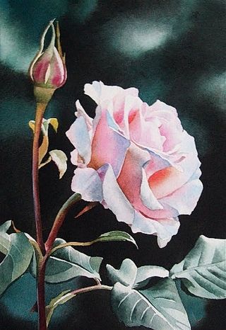 位图 写意花卉 植物 花朵 玫瑰花...