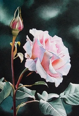 位图 写意花卉 植物 花朵 玫瑰花...