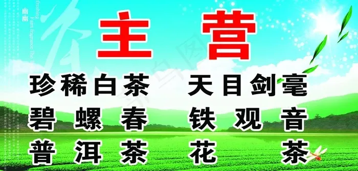 茶叶种类图片(3189X1713(DPI:30))psd模版下载