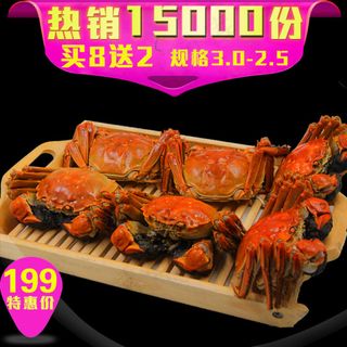 大闸蟹淘宝天猫抢眼主图热销高清PS...