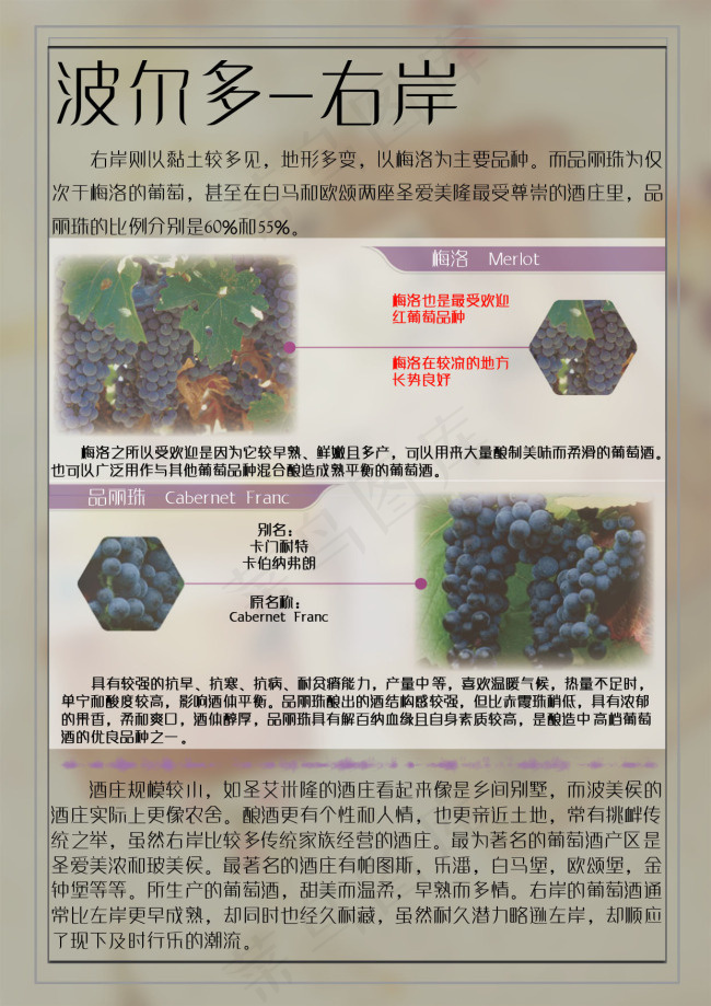 右岸葡萄酒简介psd模版下载