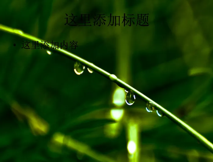 夏日清新植物PPT(4)