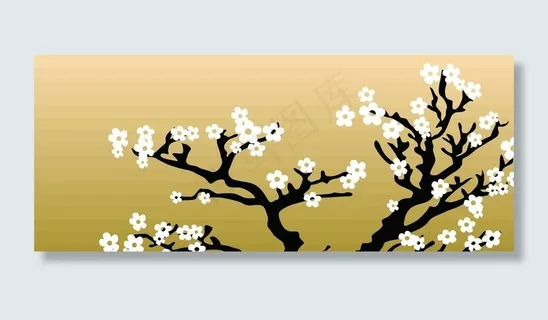 白色小花图片 白色小花图片