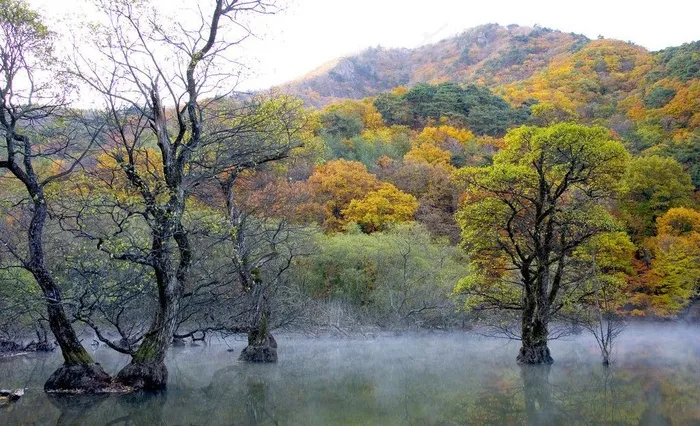 风景画图片
