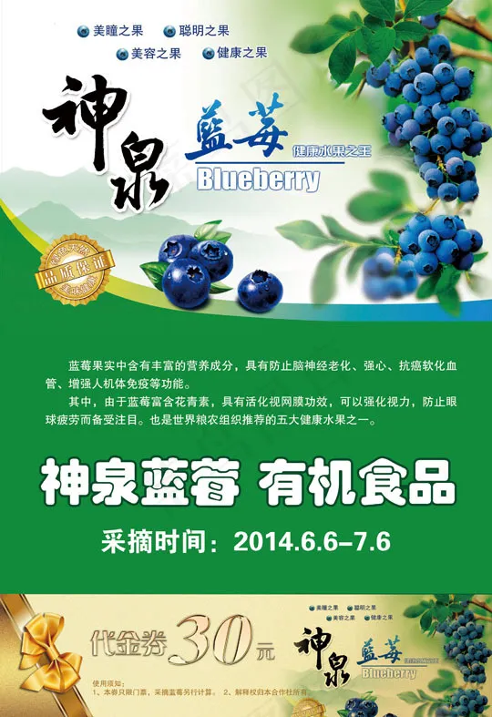 蓝莓(2835X4137(DPI:300))psd模版下载