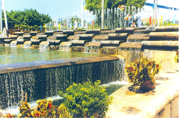 喷泉 花盆树