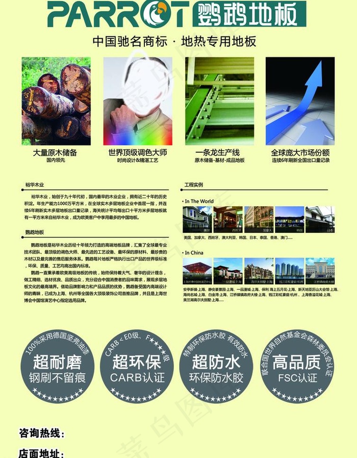 鹦鹉地板dm单页图片(2480X3366(DPI:300))psd模版下载