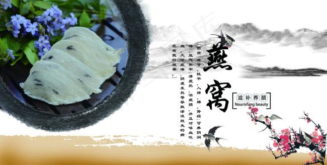 燕窝海报