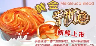 手撕包海报图片