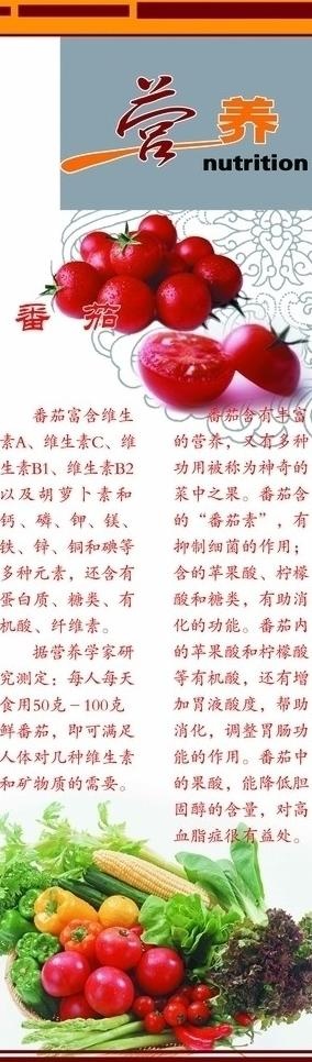 蔬菜展板图片(2863X8561(DPI:72))psd模版下载