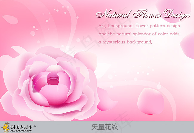 优雅的花纹矢量素材