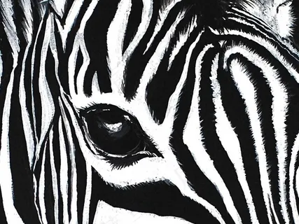方图黑白斑马眼睛客厅装饰画 方图黑白斑马眼睛客厅装饰画