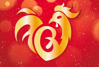 2017鸡年新年鸡元素海报挂历设计...