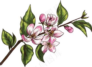 矢量发展分公司