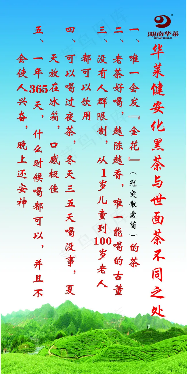 黑茶展板cdr矢量模版下载
