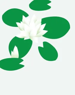 荷花矢量图片