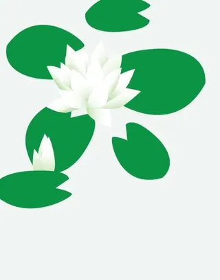 荷花矢量图片
