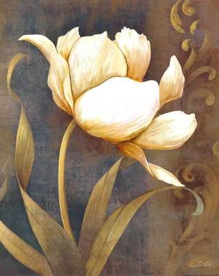 白色的花朵油画