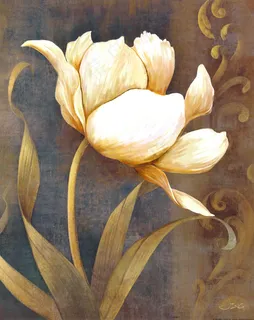 白色的花朵油画 白色的花朵油画