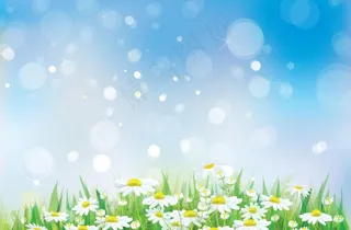 鲜花草地春天背景图片