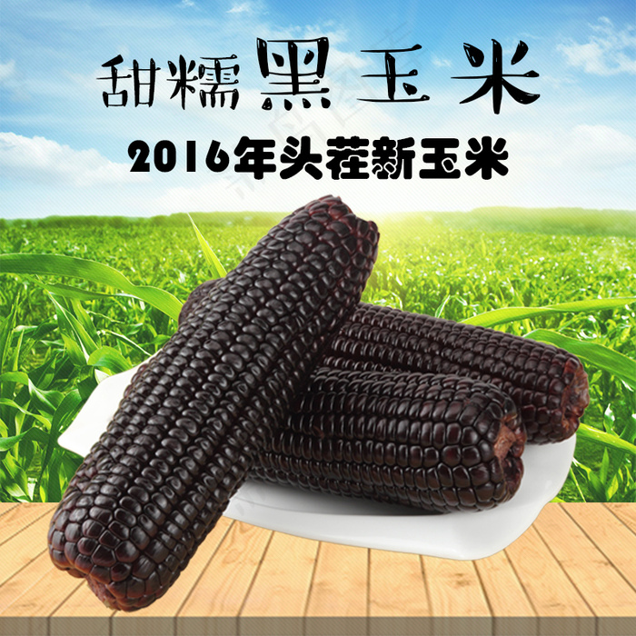 忻州黑糯玉米(800X800(DPI:70))psd模版下载
