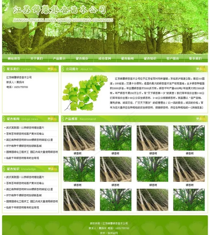 绿色银杏网图片psd模版下载