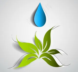 绿叶水珠水滴图片
