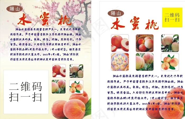 水蜜桃海报图片cdr矢量模版下载