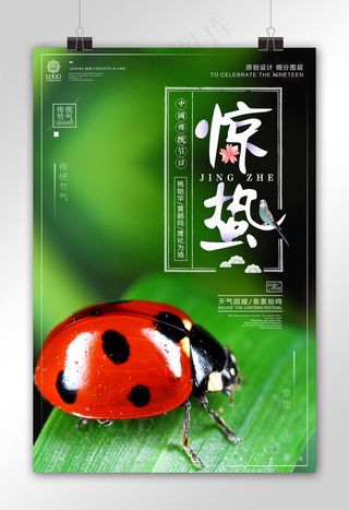 创意设计惊蛰节气宣传海报设计模板