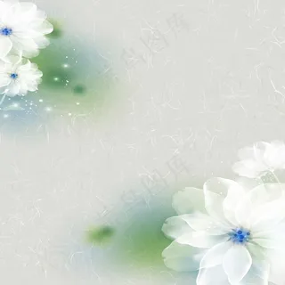 清新茉莉花背景图片 清新茉莉花背景图片