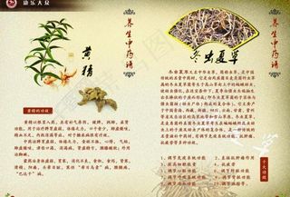 医药宣传册正面图片