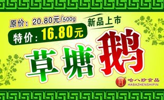 草塘鹅海报图片