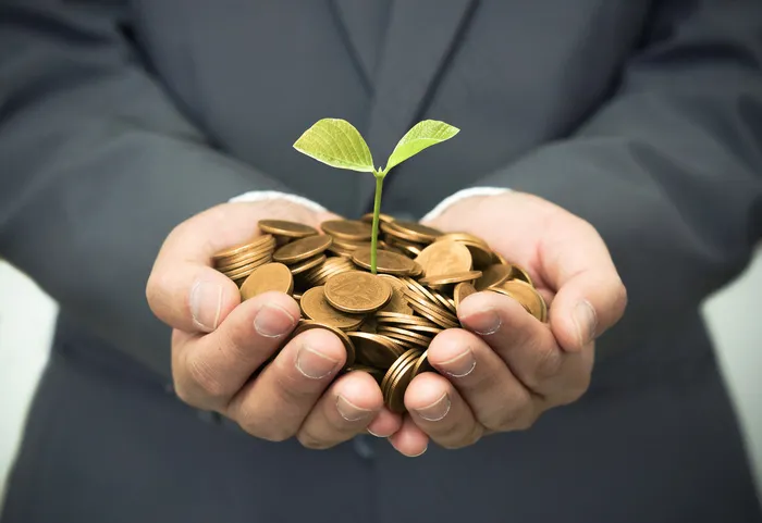 金币嫩芽小树苗孵化培育理财商务金融财富主题素材