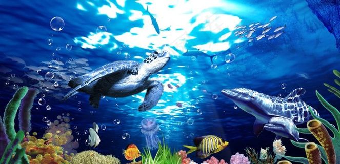 海底世界图片 海底世界图片