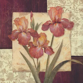 无框画 花卉图片