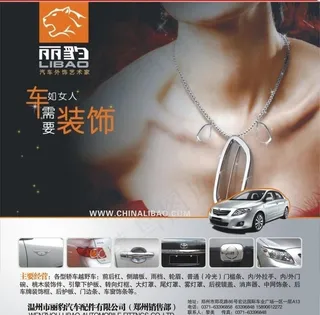 汽车杂志 丽豹汽车装饰图片