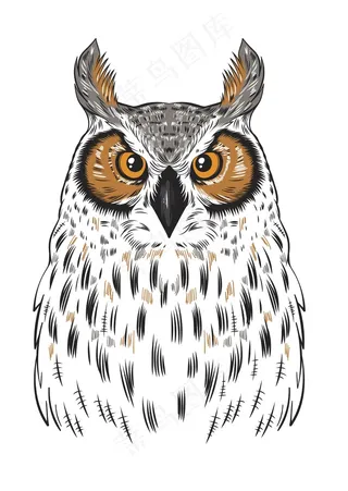 猫头鹰手机壳图案设计