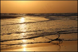 傍晚的海滩图片