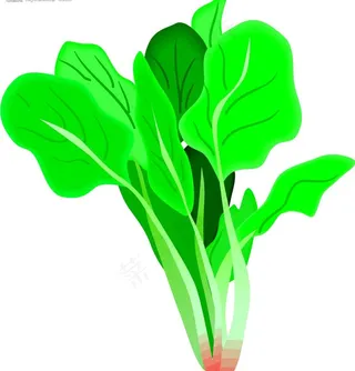 矢量蔬菜图片
