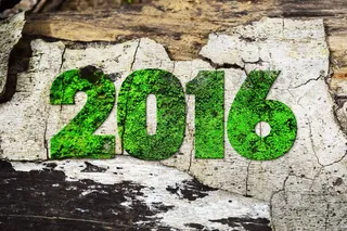 2016新年艺术字苔藓