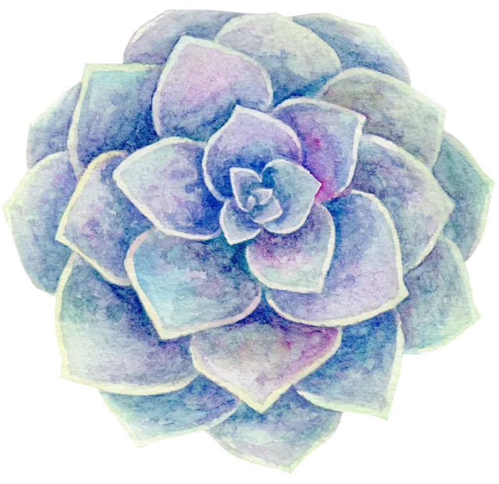 复古色叠层多肉植物图片素材