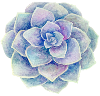 复古色叠层多肉植物图片素材