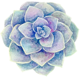 复古色叠层多肉植物图片素材