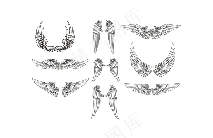 天使的翅膀矢量图图片