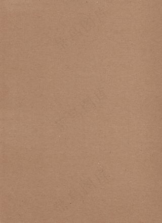 paper towel max 纸...