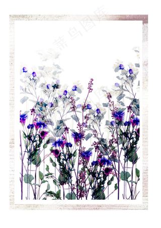 位图 psd 植物 花 免费素材