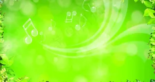 树叶 绿色背景图片