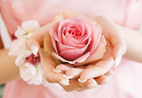 情人节芳香粉红玫瑰茉莉花环少女双手图片